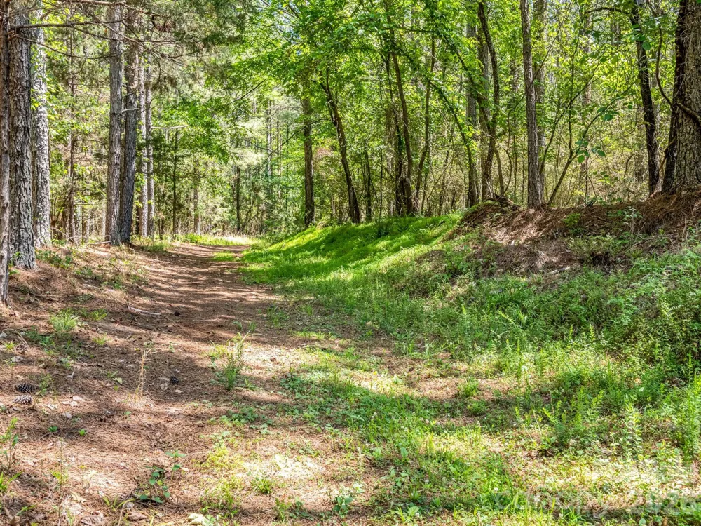 0 Jim Dobbins Road Rutherfordton, NC 28139