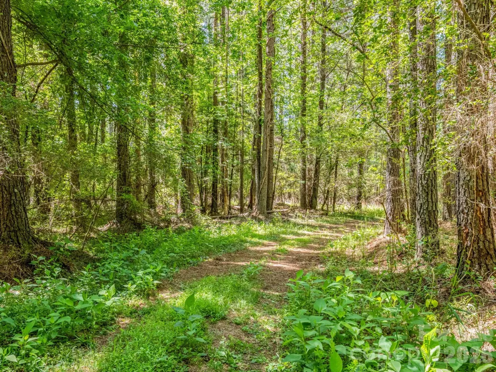 0 Jim Dobbins Road Rutherfordton, NC 28139