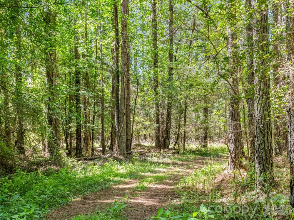 0 Jim Dobbins Road Rutherfordton, NC 28139