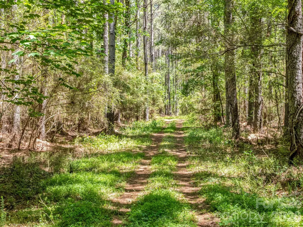 0 Jim Dobbins Road Rutherfordton, NC 28139
