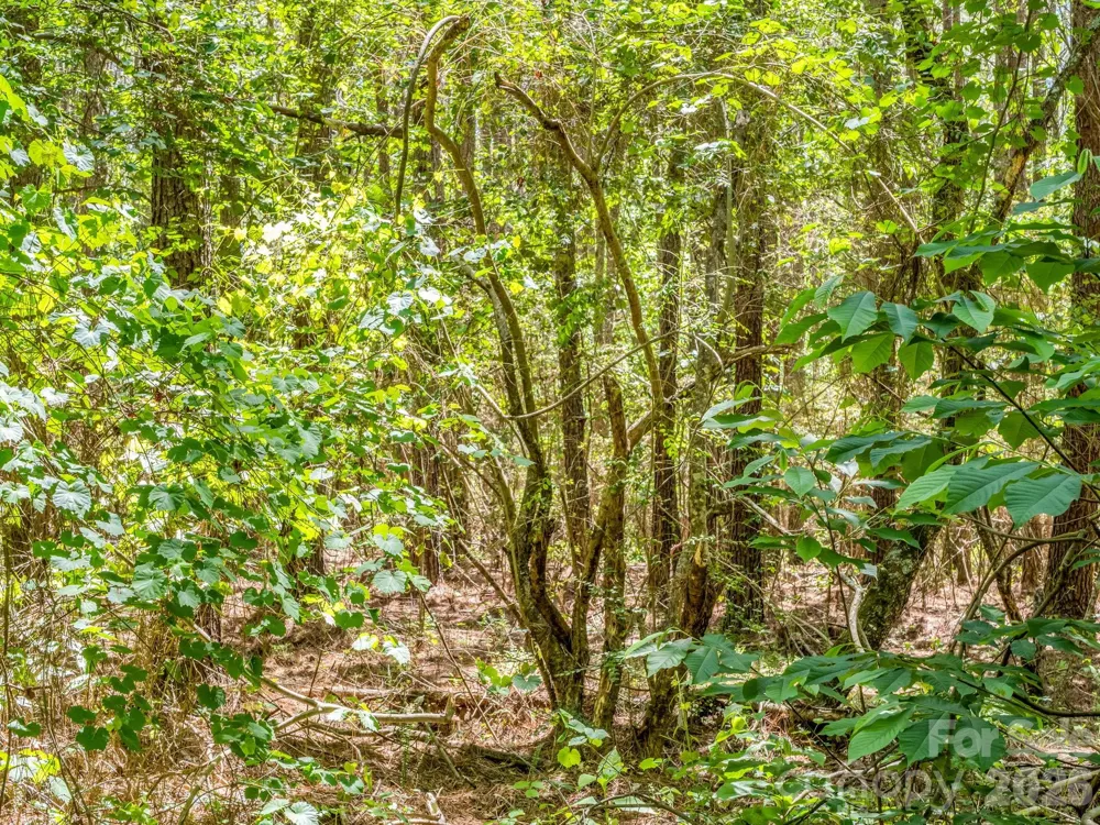0 Jim Dobbins Road Rutherfordton, NC 28139