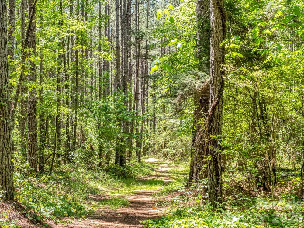 0 Jim Dobbins Road Rutherfordton, NC 28139