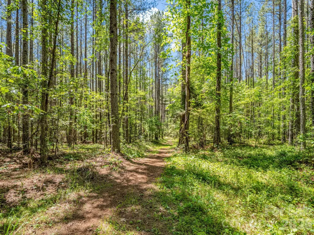 0 Jim Dobbins Road Rutherfordton, NC 28139