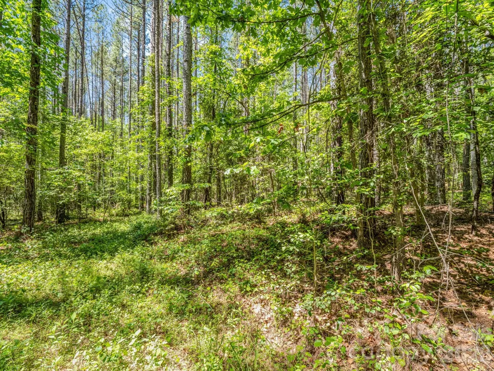 0 Jim Dobbins Road Rutherfordton, NC 28139
