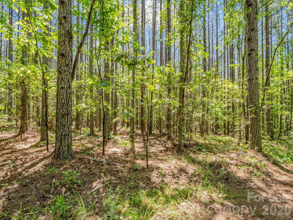 0 Jim Dobbins Road Rutherfordton, NC 28139