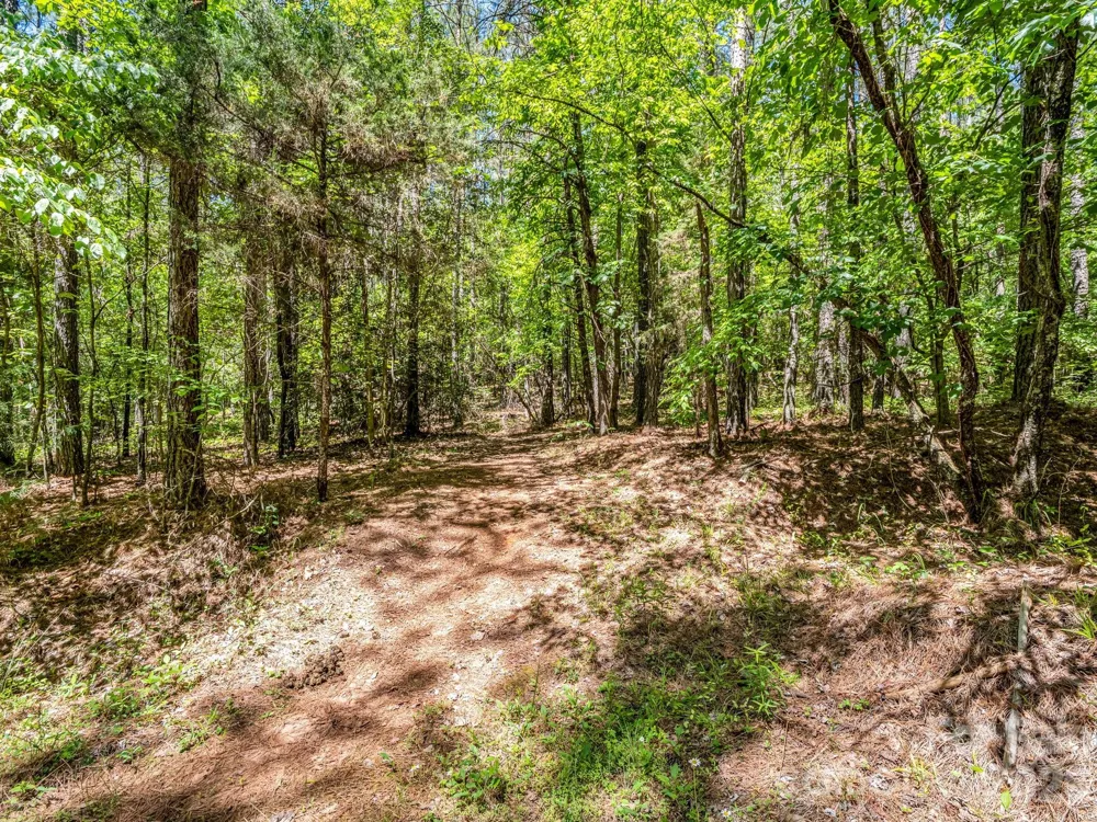 0 Jim Dobbins Road Rutherfordton, NC 28139