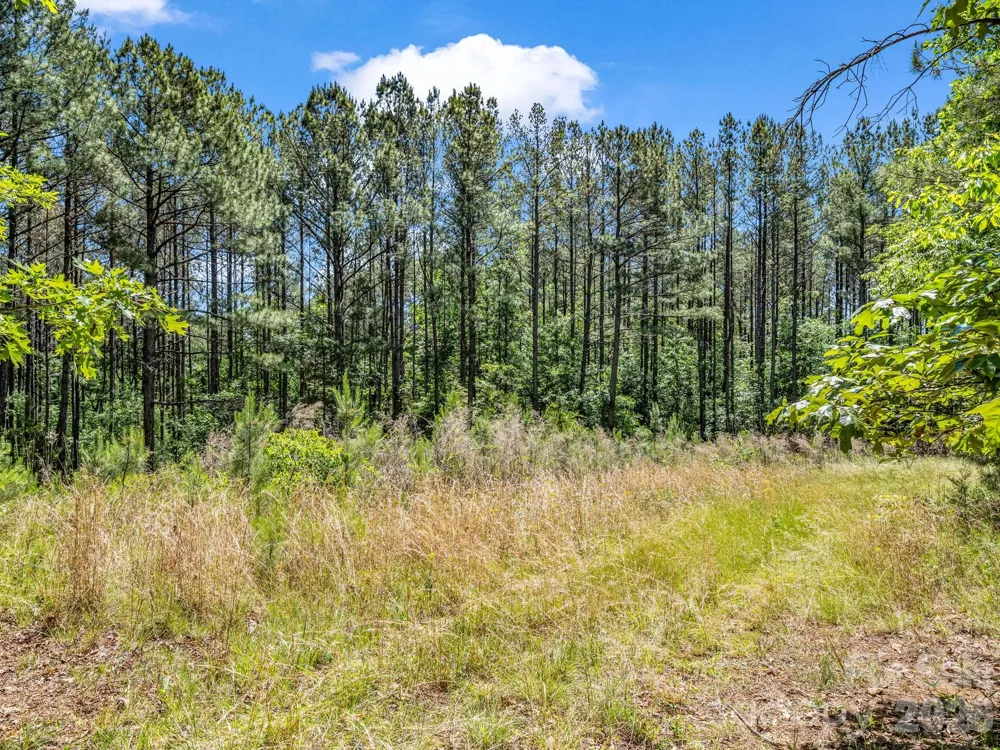 0 Jim Dobbins Road Rutherfordton, NC 28139