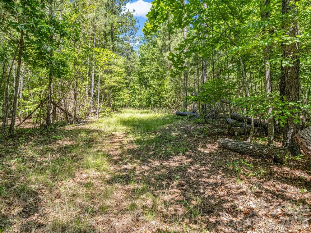 0 Jim Dobbins Road Rutherfordton, NC 28139