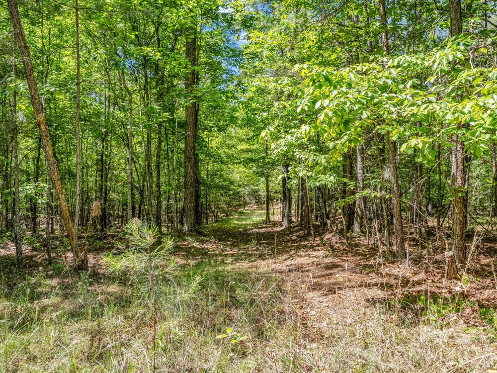 0 Jim Dobbins Road Rutherfordton, NC 28139