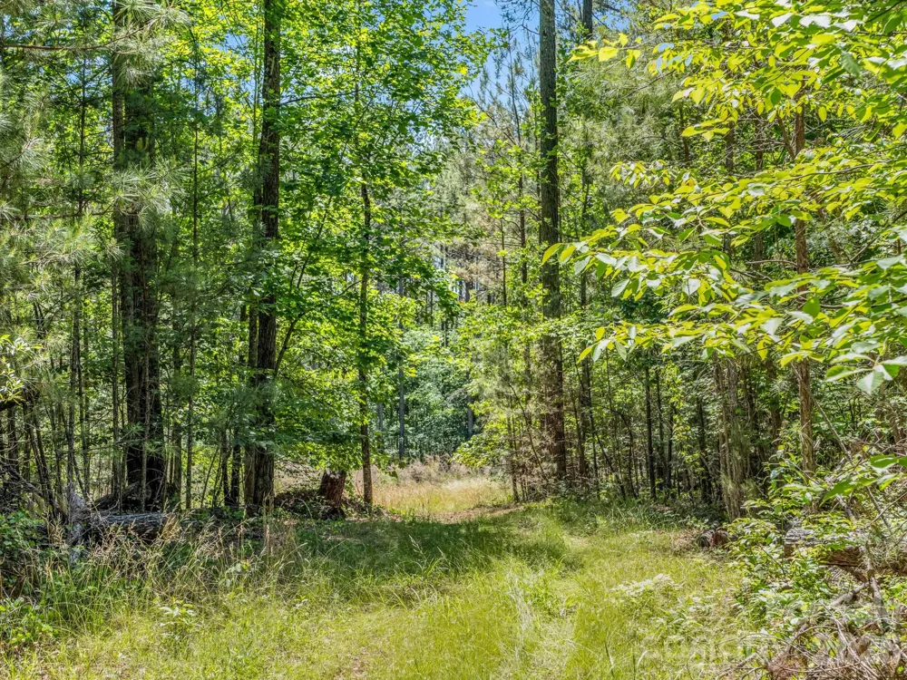 0 Jim Dobbins Road Rutherfordton, NC 28139