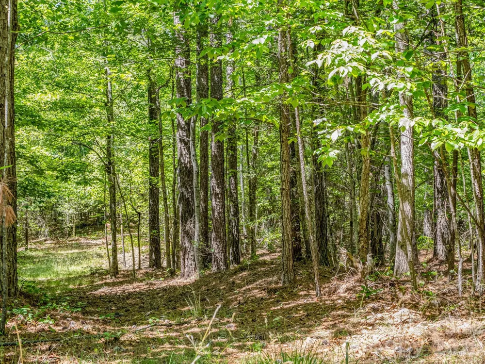 0 Jim Dobbins Road Rutherfordton, NC 28139