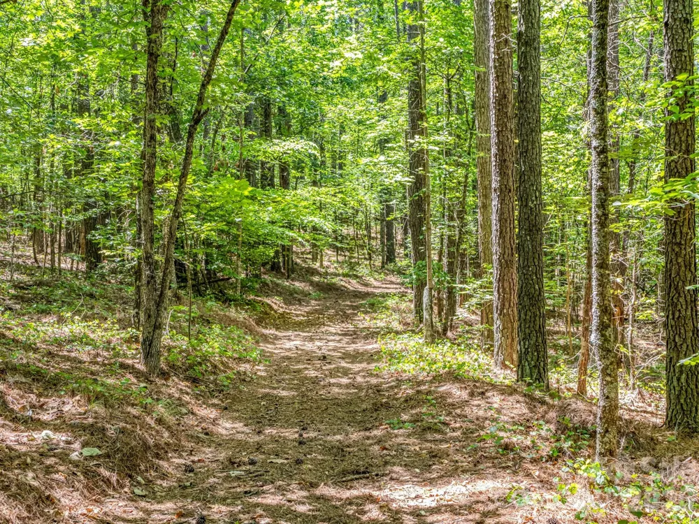 0 Jim Dobbins Road Rutherfordton, NC 28139