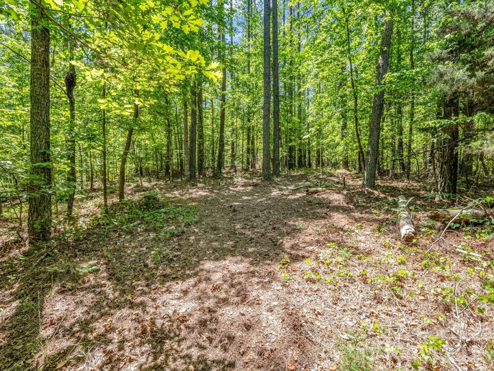 0 Jim Dobbins Road Rutherfordton, NC 28139