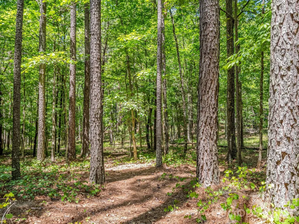 0 Jim Dobbins Road Rutherfordton, NC 28139