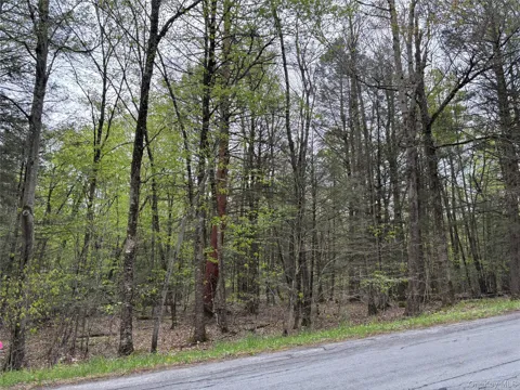 Braden Road
