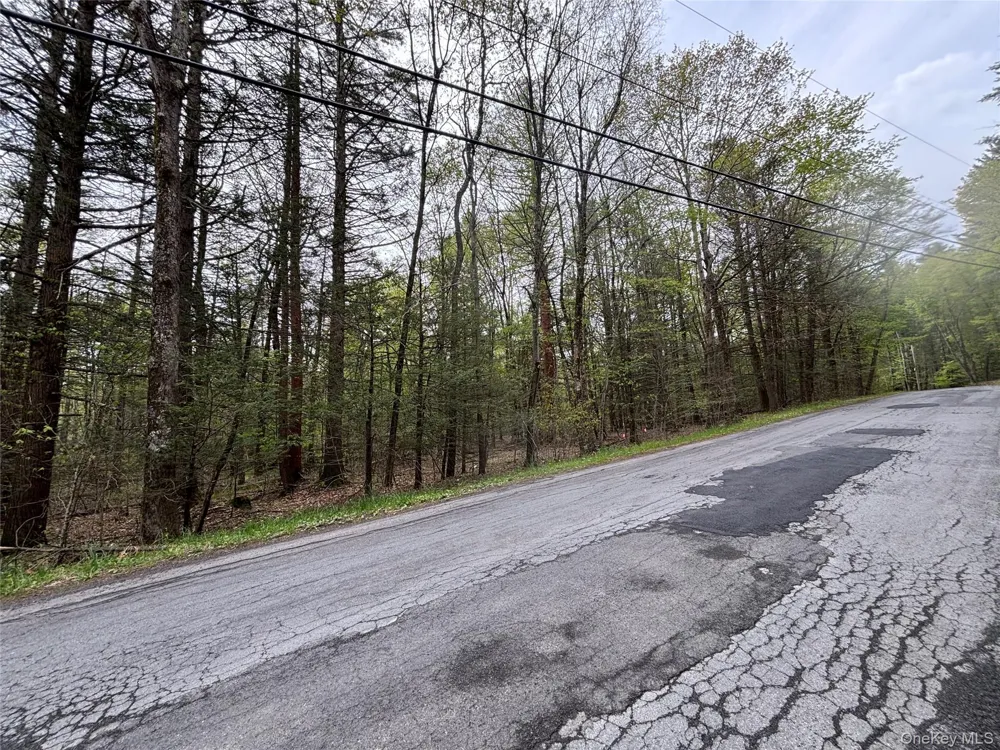 Braden Road Mountain Dale, NY 12763