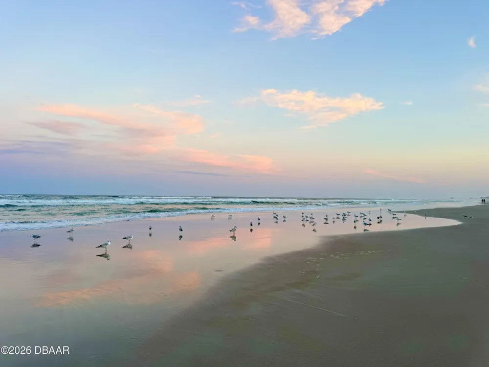 4453 S Atlantic Avenue #703 Ponce Inlet, FL 32127