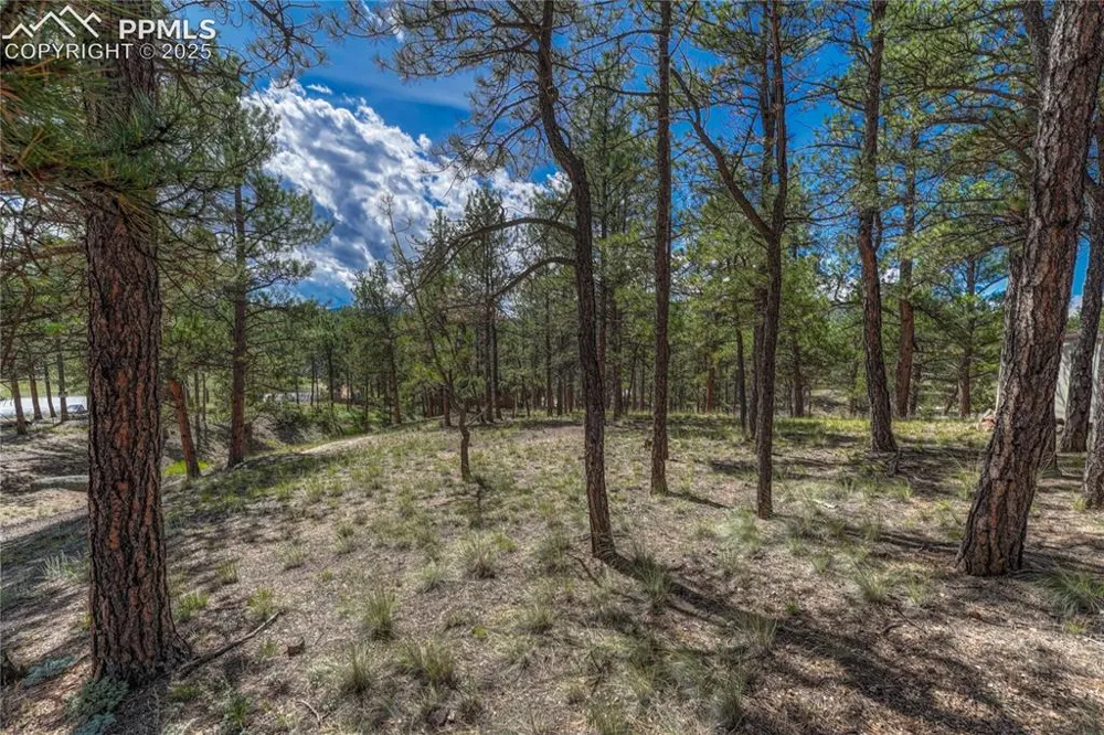 101 Dunlap Drive Florissant, CO 80816