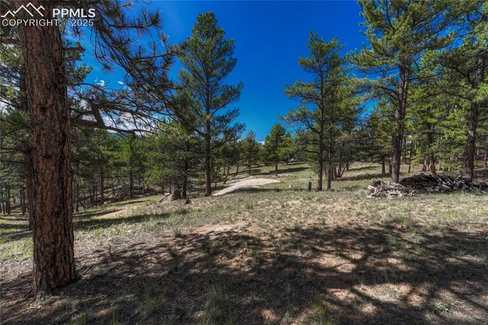 101 Dunlap Drive Florissant, CO 80816