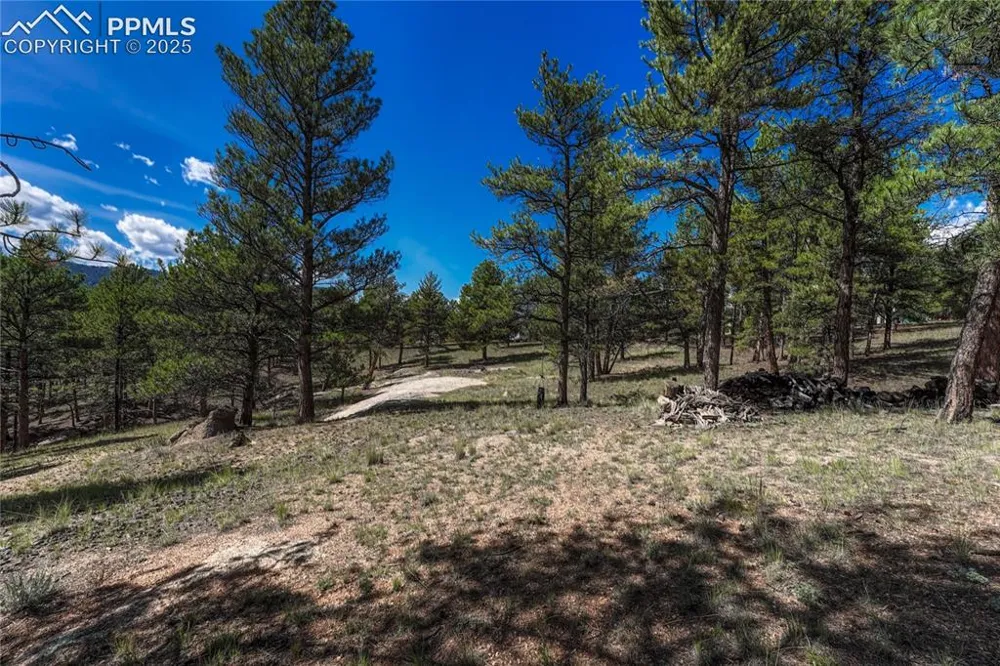 101 Dunlap Drive Florissant, CO 80816