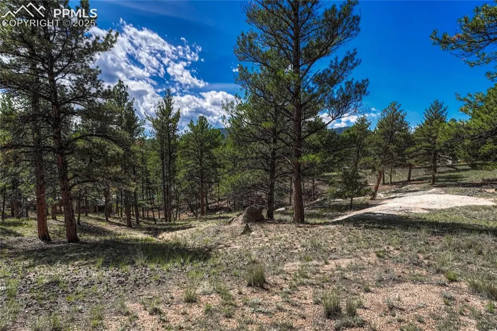 101 Dunlap Drive Florissant, CO 80816