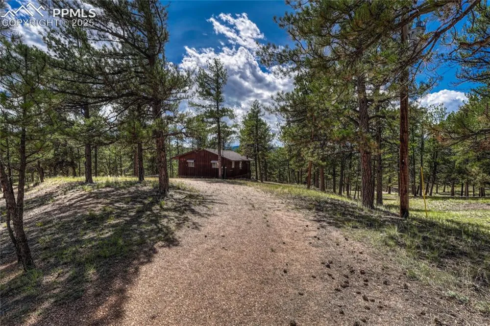 101 Dunlap Drive Florissant, CO 80816
