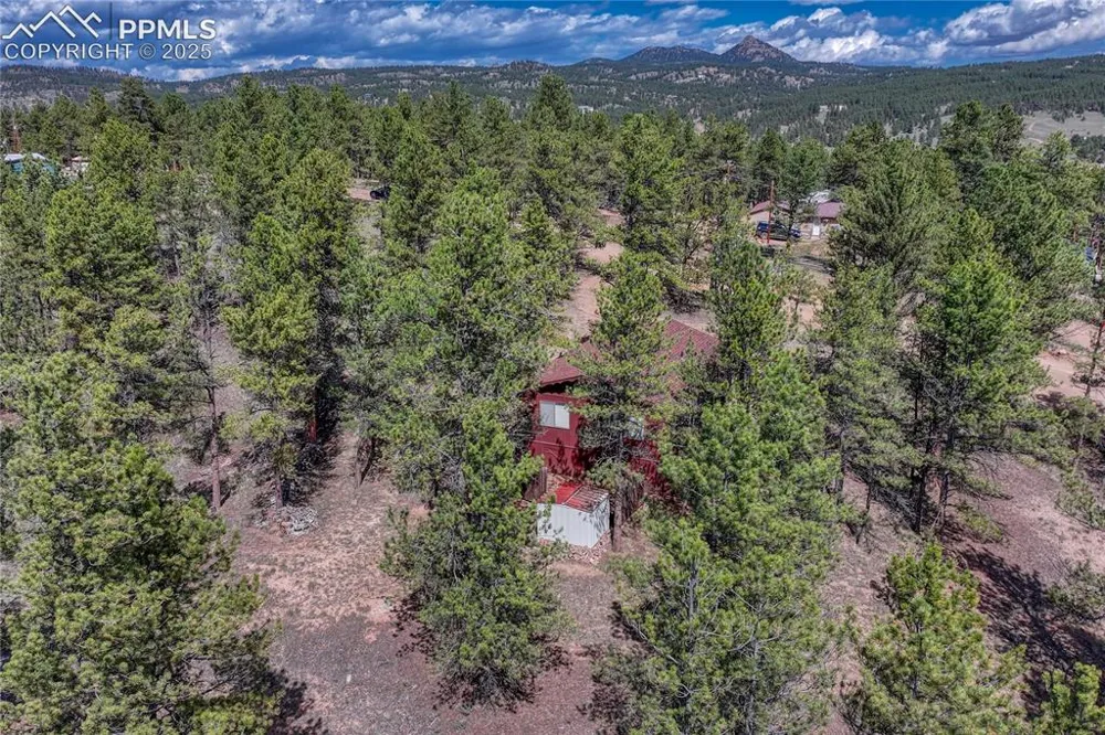 101 Dunlap Drive Florissant, CO 80816