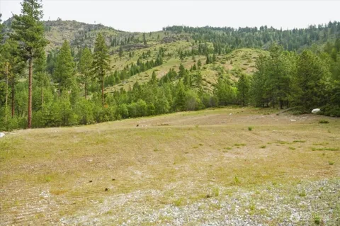 4 Lot Mossback Lane
