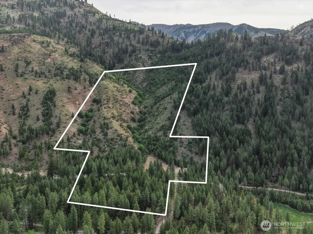 4 Lot Mossback Lane Entiat, WA 98822
