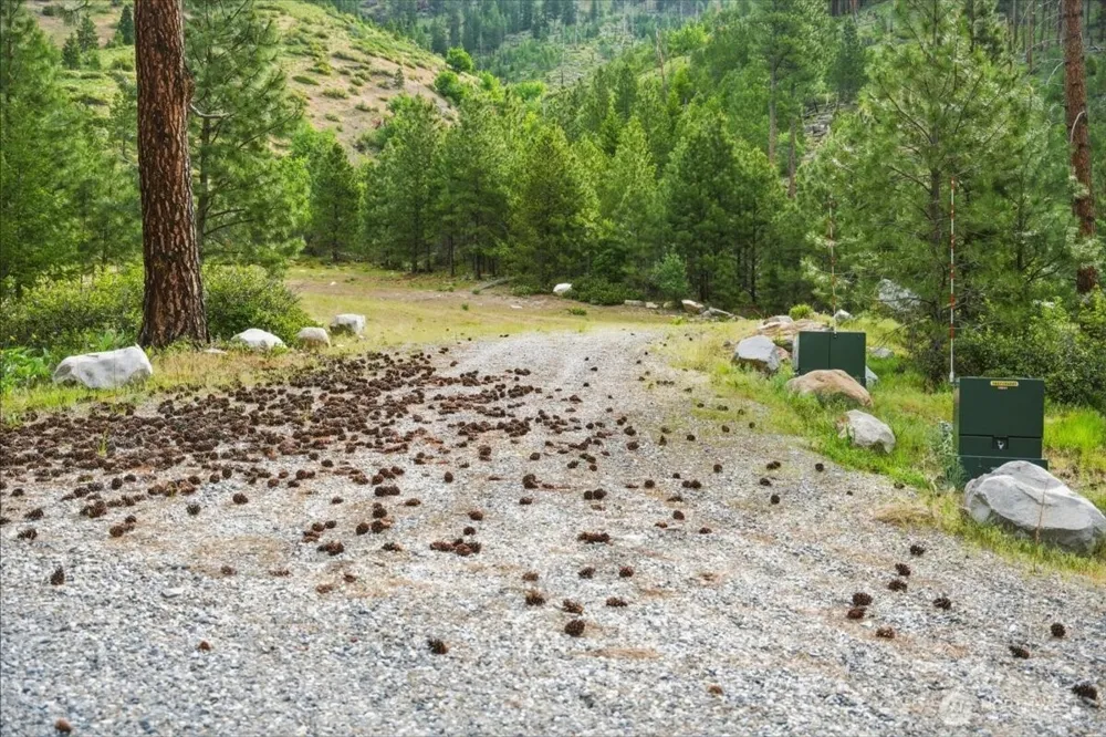 4 Lot Mossback Lane Entiat, WA 98822