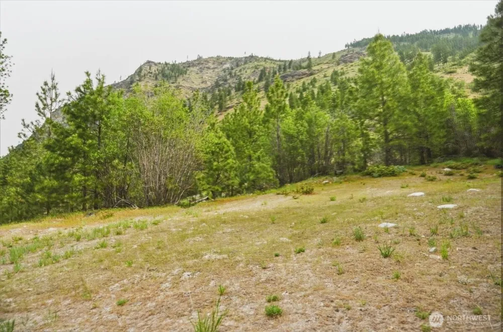 4 Lot Mossback Lane Entiat, WA 98822