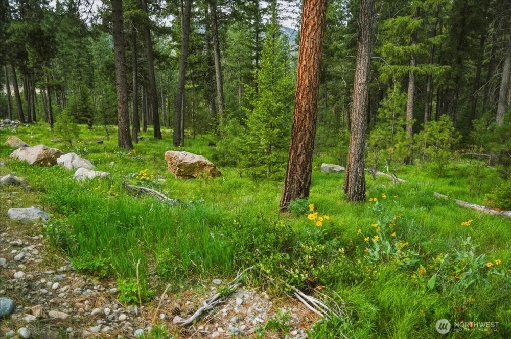 4 Lot Mossback Lane Entiat, WA 98822