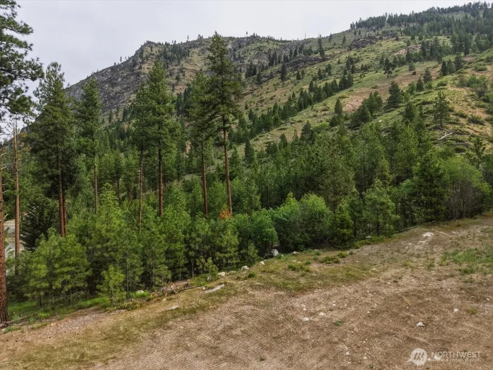 4 Lot Mossback Lane Entiat, WA 98822