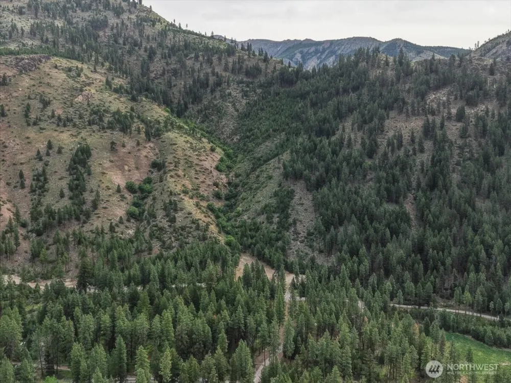 4 Lot Mossback Lane Entiat, WA 98822