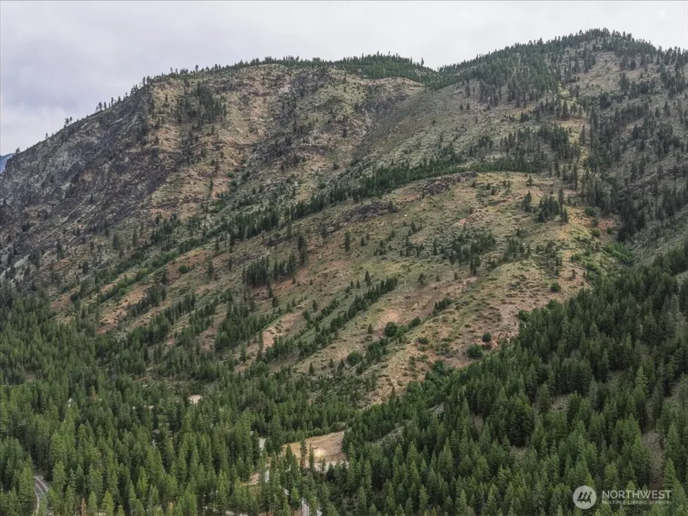 4 Lot Mossback Lane Entiat, WA 98822