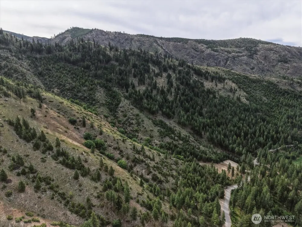 4 Lot Mossback Lane Entiat, WA 98822