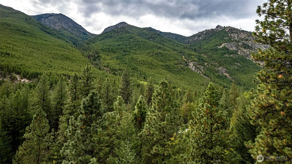 17972 Entiat River Road Entiat, WA 98822