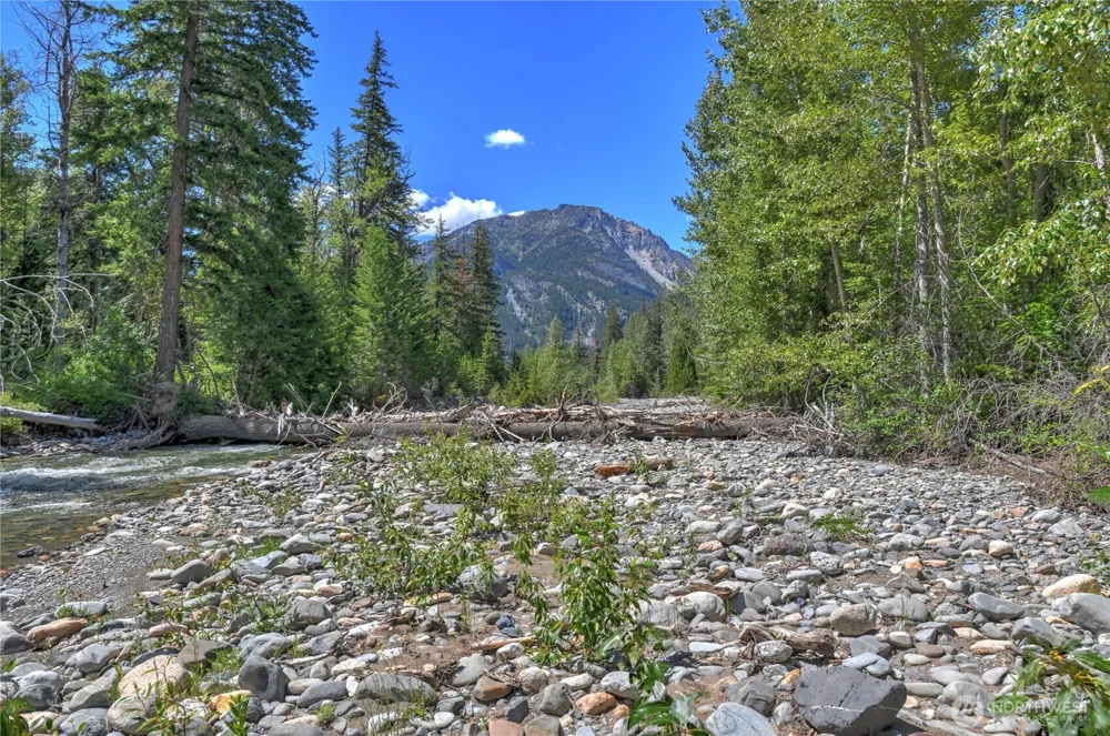 19 A and B Two Rivers Road Mazama, WA 98833