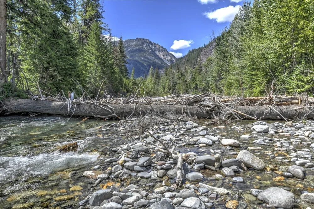 19 A and B Two Rivers Road Mazama, WA 98833