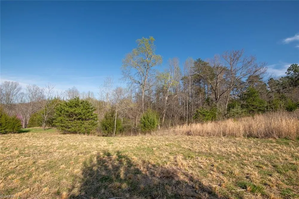 Lot 38 Lake Shore Drive Yanceyville, NC 27379