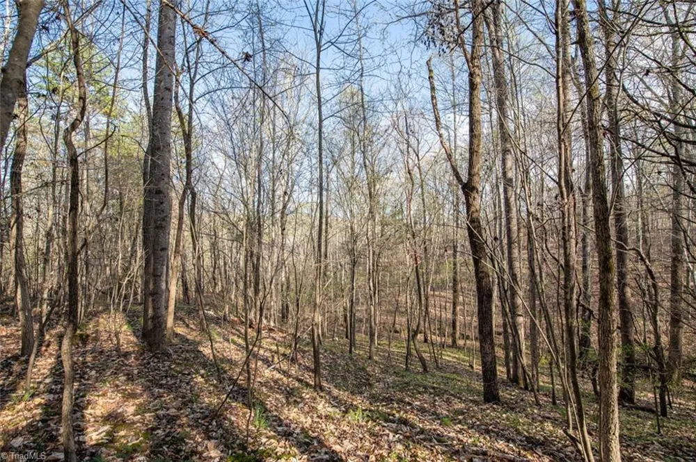 Lot 38 Lake Shore Drive Yanceyville, NC 27379