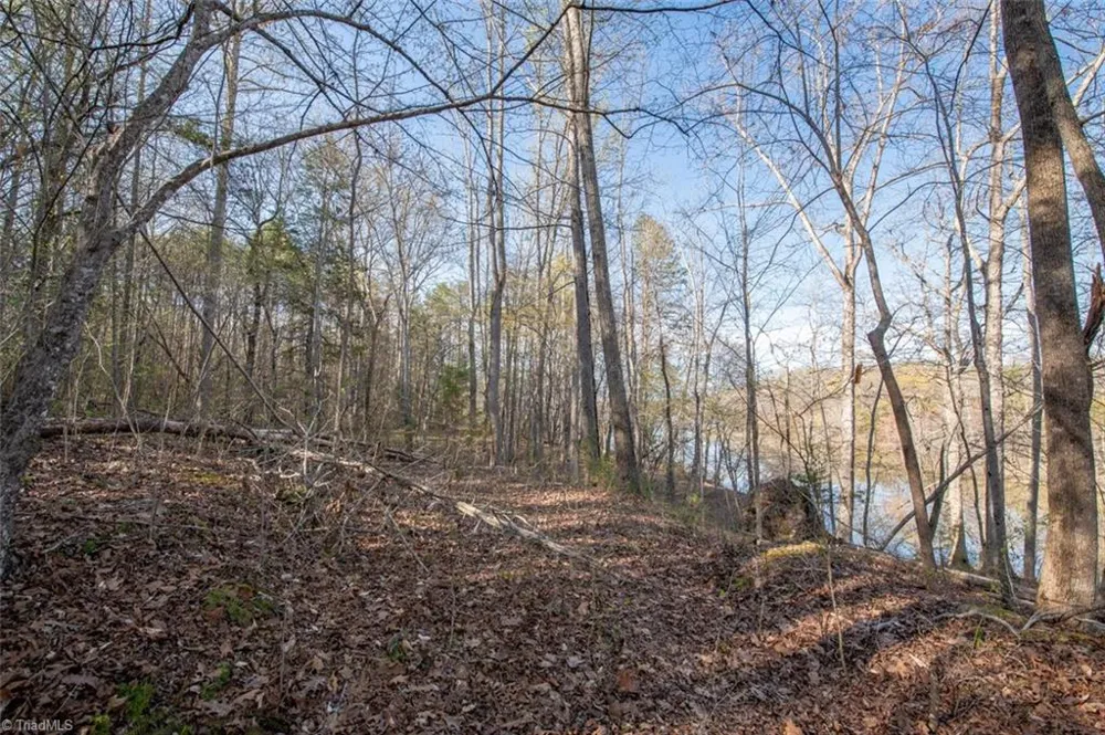 Lot 38 Lake Shore Drive Yanceyville, NC 27379