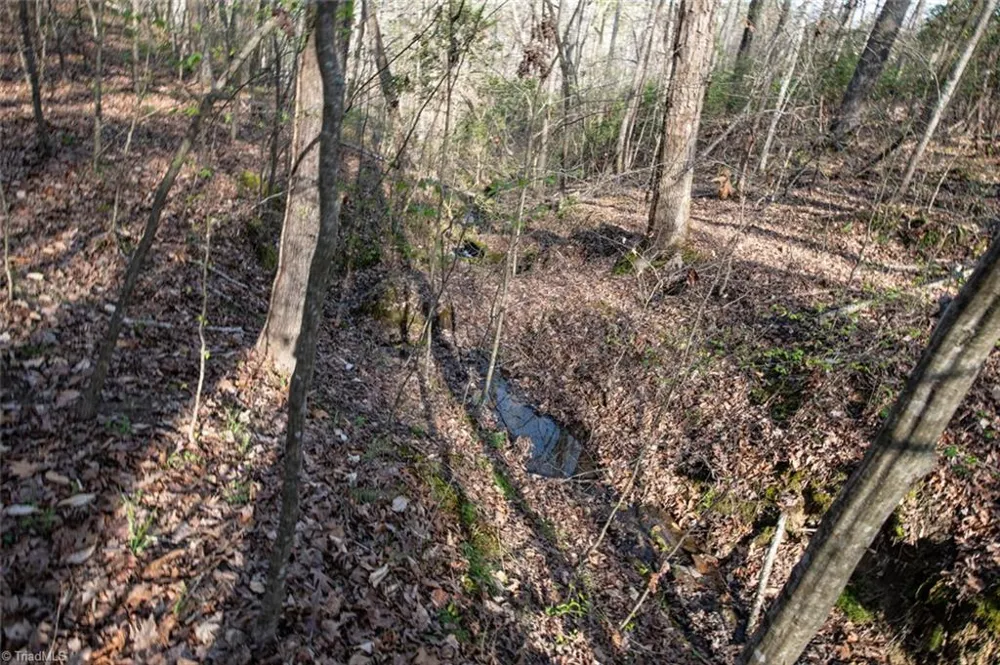 Lot 38 Lake Shore Drive Yanceyville, NC 27379