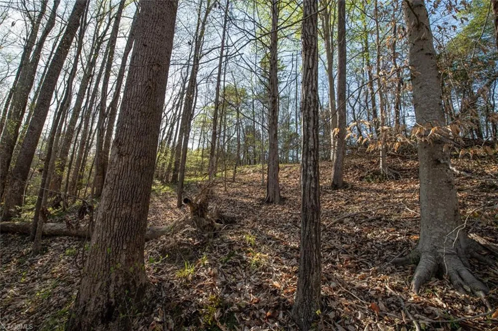Lot 38 Lake Shore Drive Yanceyville, NC 27379