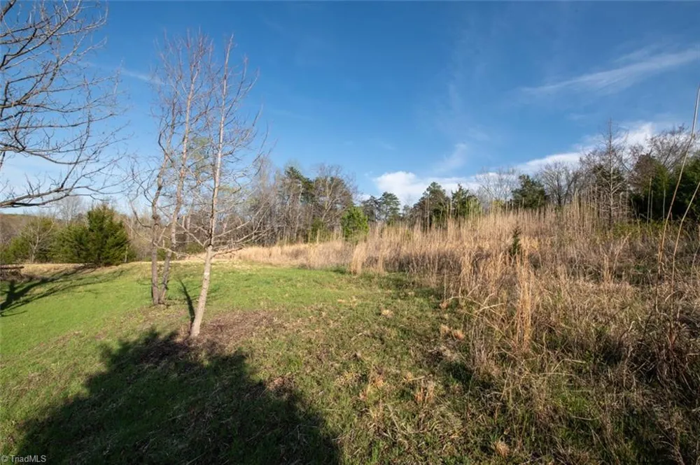 Lot 38 Lake Shore Drive Yanceyville, NC 27379