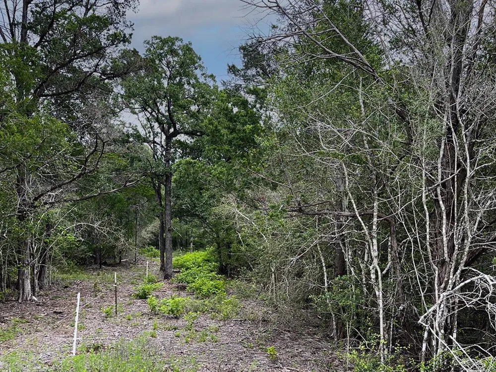2231 Greens Creek Road Ledbetter, TX 78946