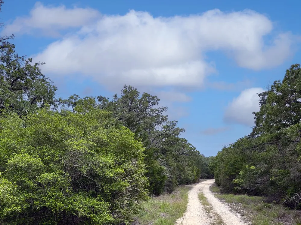 2231 Greens Creek Road Ledbetter, TX 78946