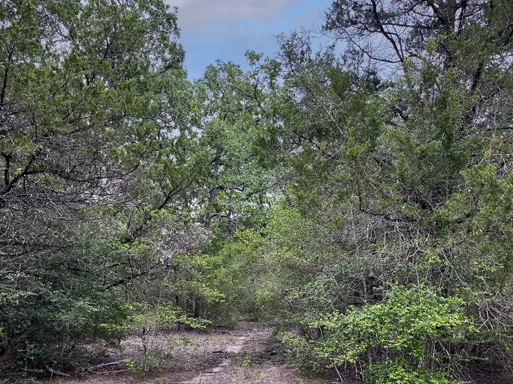 2231 Greens Creek Road Ledbetter, TX 78946