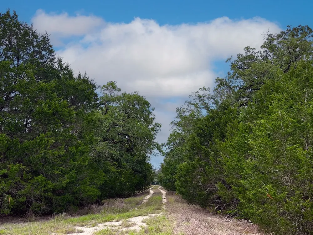 2231 Greens Creek Road Ledbetter, TX 78946