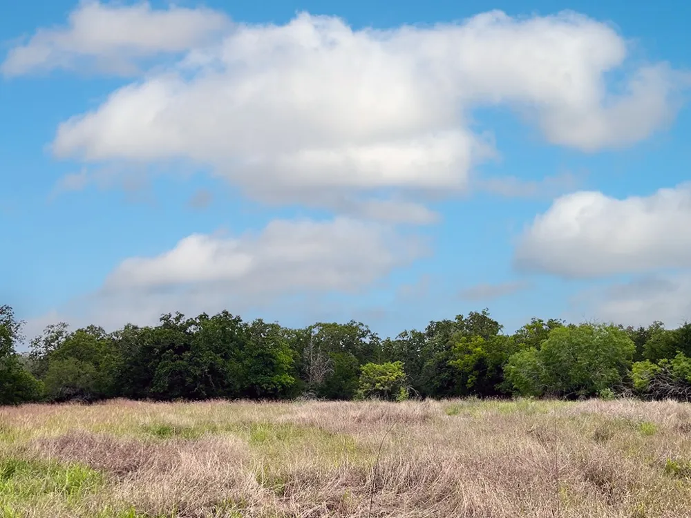 2231 Greens Creek Road Ledbetter, TX 78946
